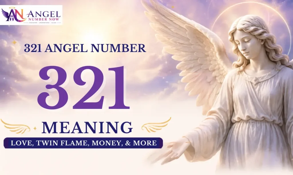321 Angel Number Meaning Love, Twin Flame, Money, & More